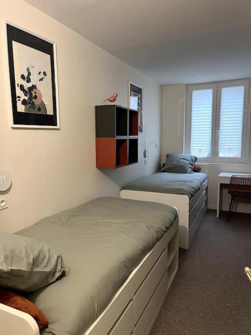 Appartement Le Lynx Boreal, Centre Historique Avec Jardin *